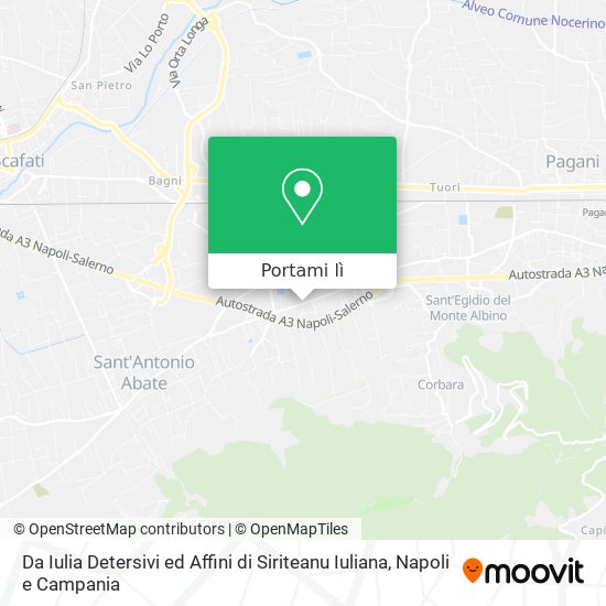 Mappa Da Iulia Detersivi ed Affini di Siriteanu Iuliana