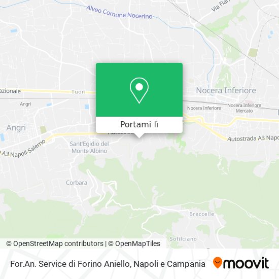 Mappa For.An. Service di Forino Aniello