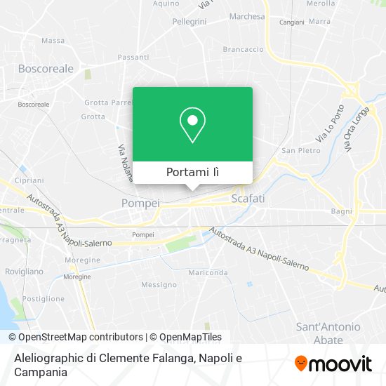 Mappa Aleliographic di Clemente Falanga