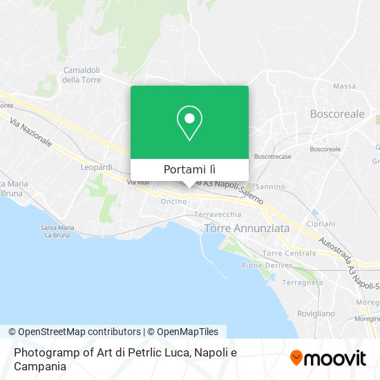 Mappa Photogramp of Art di Petrlic Luca