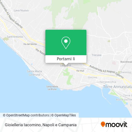 Mappa Gioielleria Iacomino