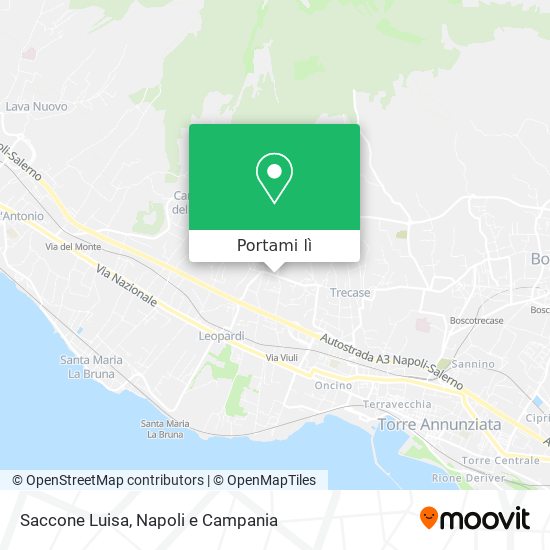 Mappa Saccone Luisa