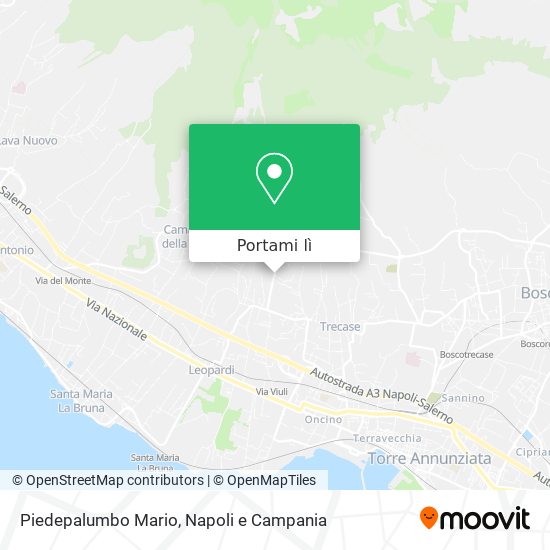 Mappa Piedepalumbo Mario