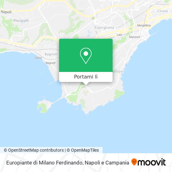 Mappa Europiante di Milano Ferdinando