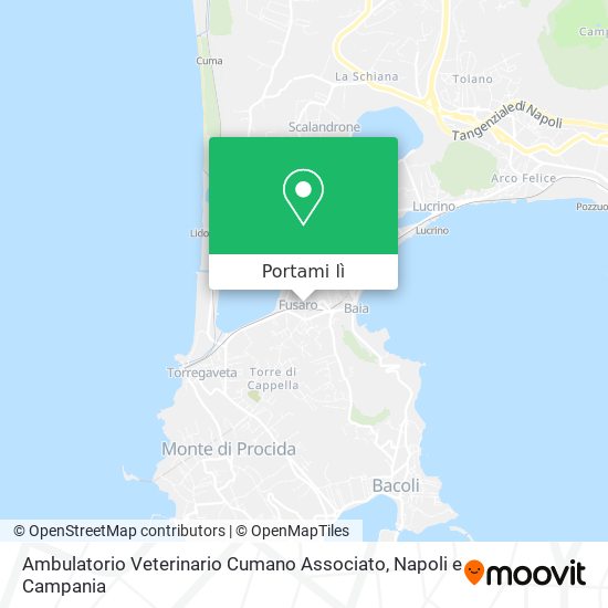 Mappa Ambulatorio Veterinario Cumano Associato