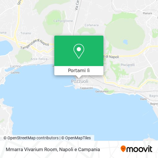 Mappa Mmarra Vivarium Room