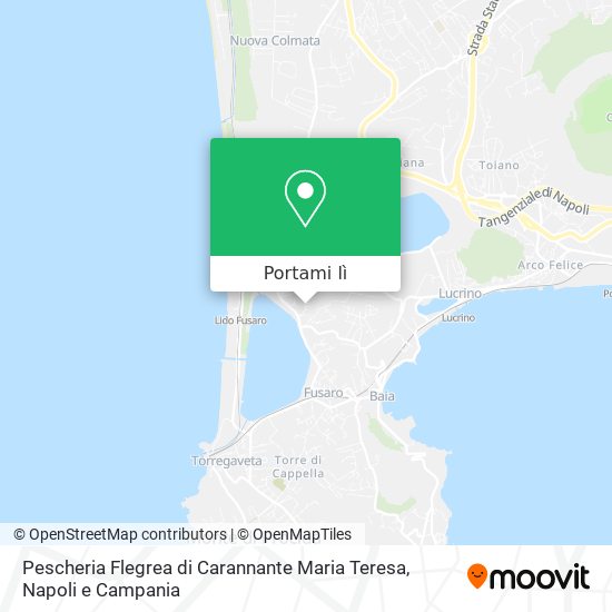 Mappa Pescheria Flegrea di Carannante Maria Teresa