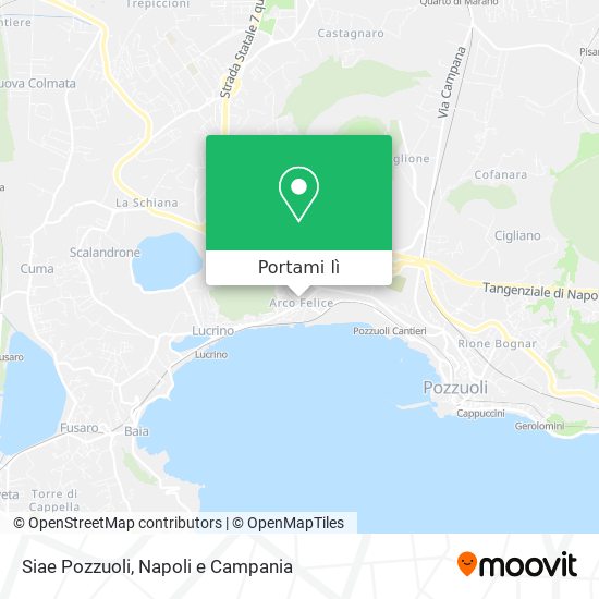 Mappa Siae Pozzuoli