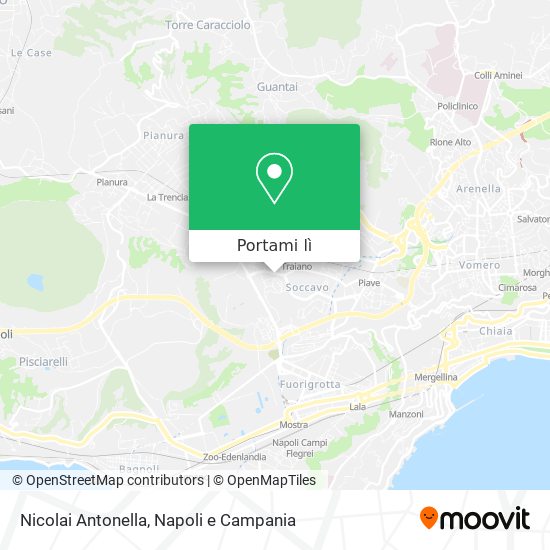Mappa Nicolai Antonella