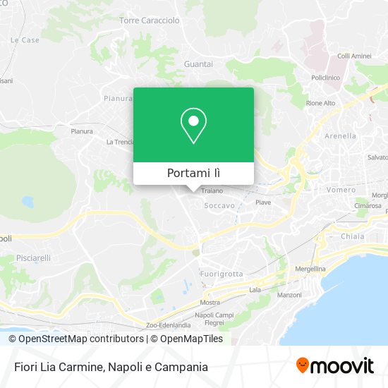 Mappa Fiori Lia Carmine