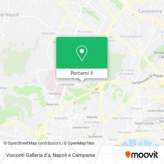 Mappa Visconti Galleria d'a