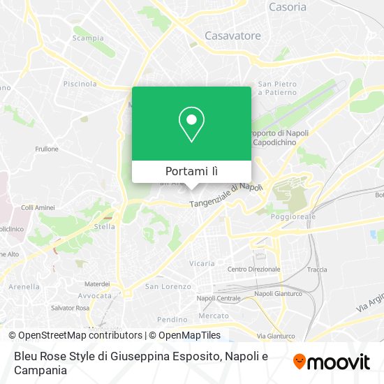 Mappa Bleu Rose Style di Giuseppina Esposito