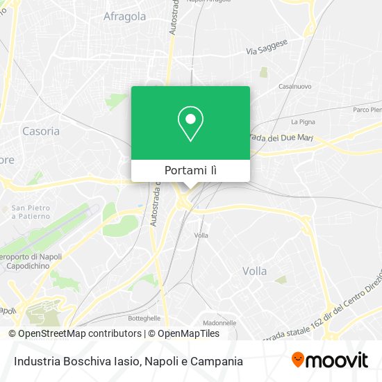 Mappa Industria Boschiva Iasio