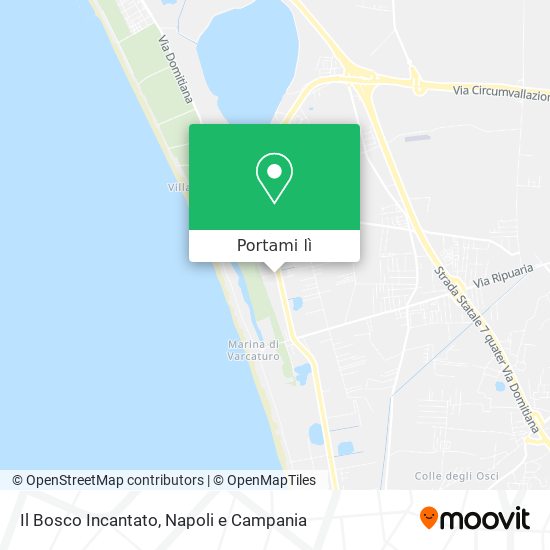 Mappa Il Bosco Incantato