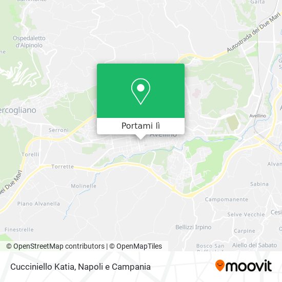 Mappa Cucciniello Katia