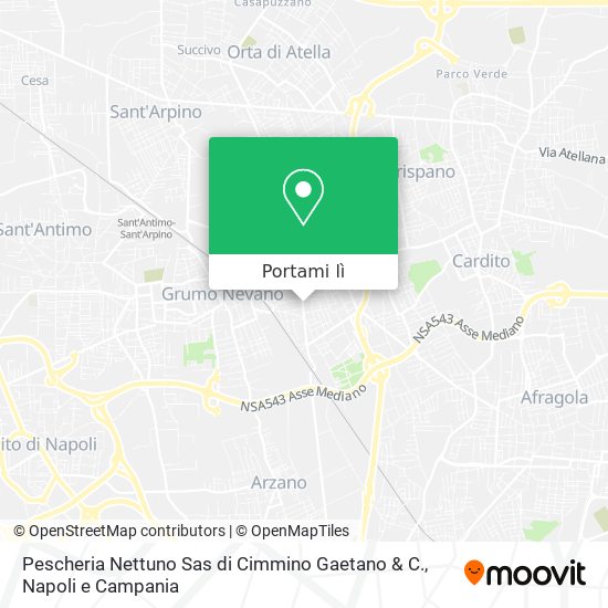 Mappa Pescheria Nettuno Sas di Cimmino Gaetano & C.
