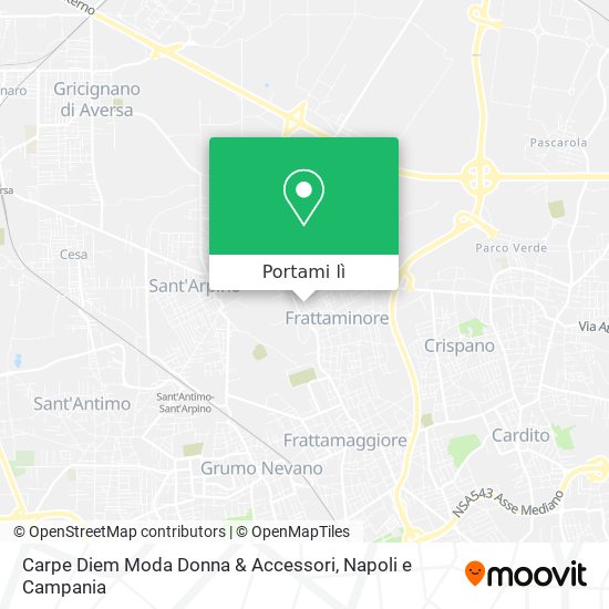 Mappa Carpe Diem Moda Donna & Accessori