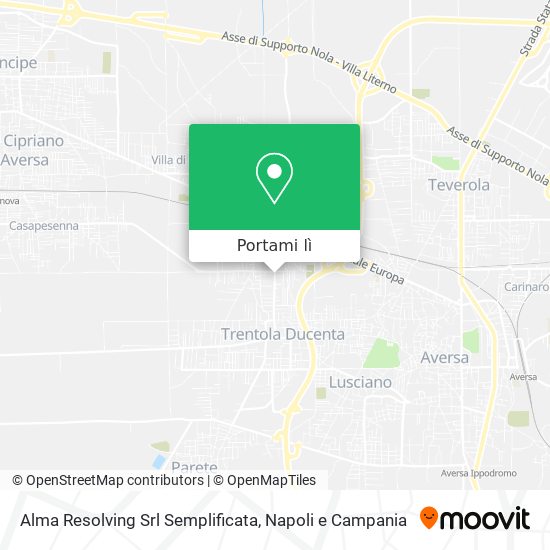 Mappa Alma Resolving Srl Semplificata