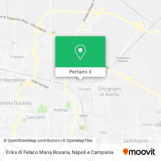 Mappa Erika di Felaco Maria Rosaria