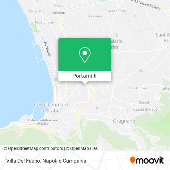 Mappa Villa Del Fauno