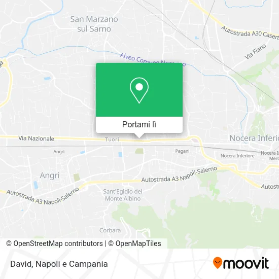 Mappa David