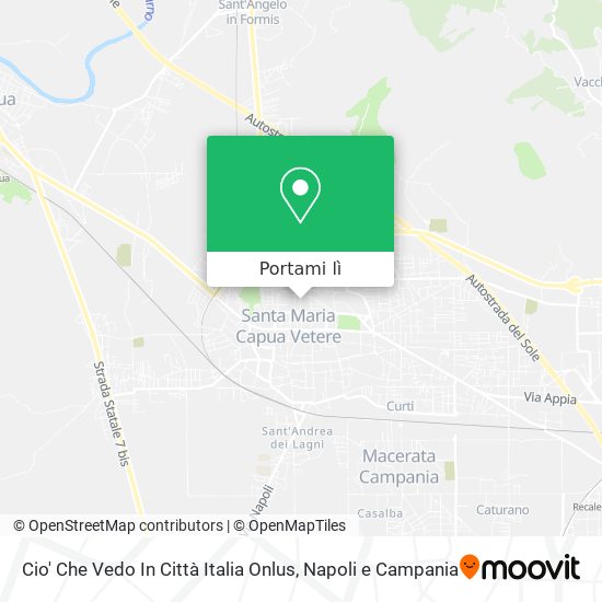 Mappa Cio' Che Vedo In Città Italia Onlus