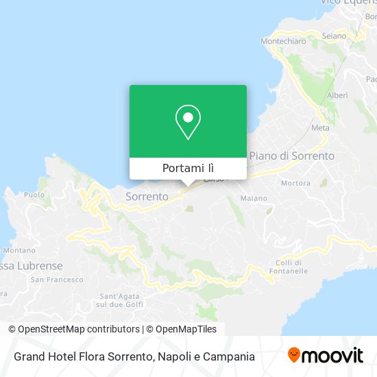 Mappa Grand Hotel Flora Sorrento