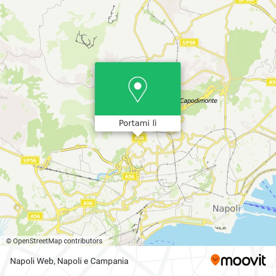 Mappa Napoli Web