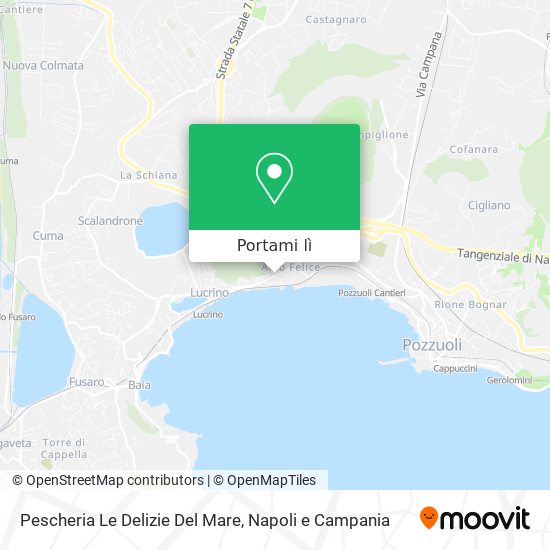 Mappa Pescheria Le Delizie Del Mare