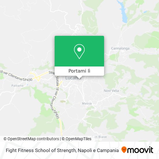 Mappa Fight Fitness School of Strength
