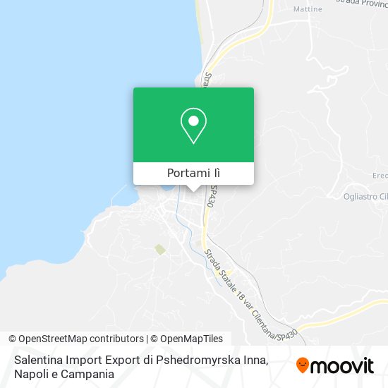 Mappa Salentina Import Export di Pshedromyrska Inna