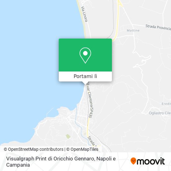 Mappa Visualgraph Print di Oricchio Gennaro