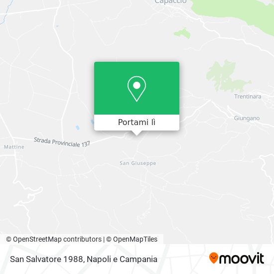 Mappa San Salvatore 1988