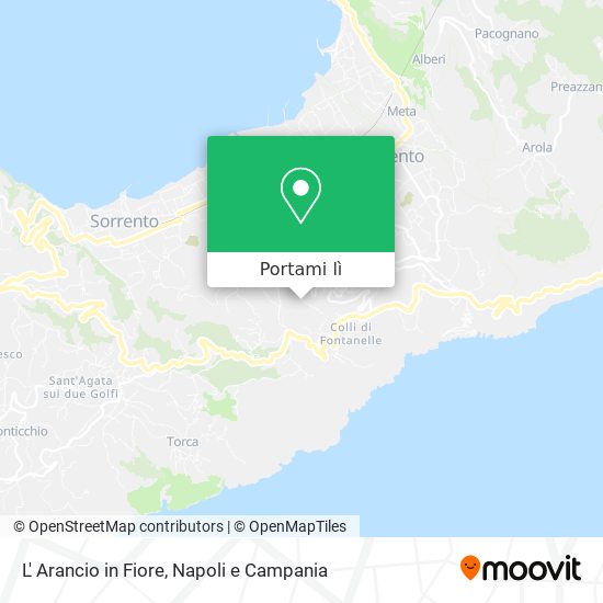 Mappa L' Arancio in Fiore