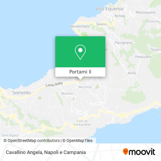 Mappa Cavallino Angela