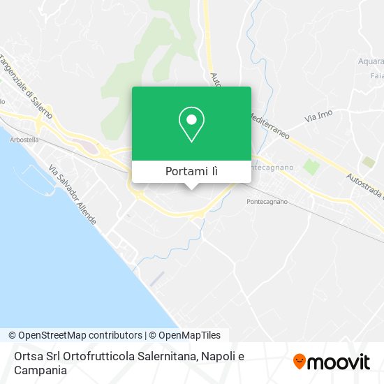 Mappa Ortsa Srl Ortofrutticola Salernitana