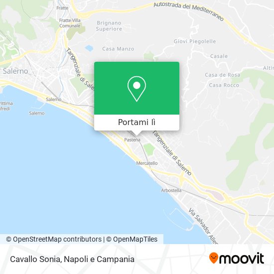 Mappa Cavallo Sonia