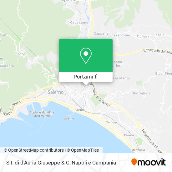 Mappa S.I. di d'Auria Giuseppe & C