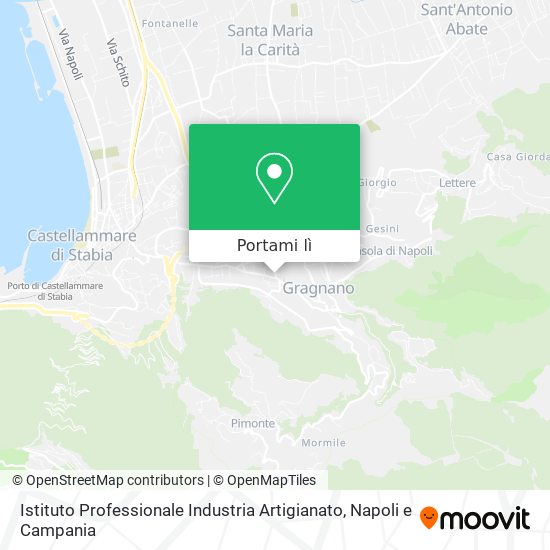 Mappa Istituto Professionale Industria Artigianato