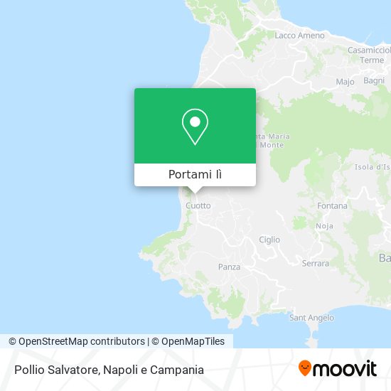 Mappa Pollio Salvatore
