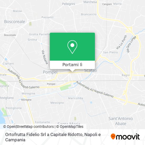 Mappa Ortofrutta Fidelio Srl a Capitale Ridotto