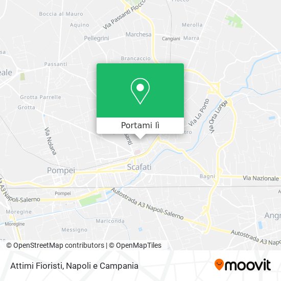 Mappa Attimi Fioristi