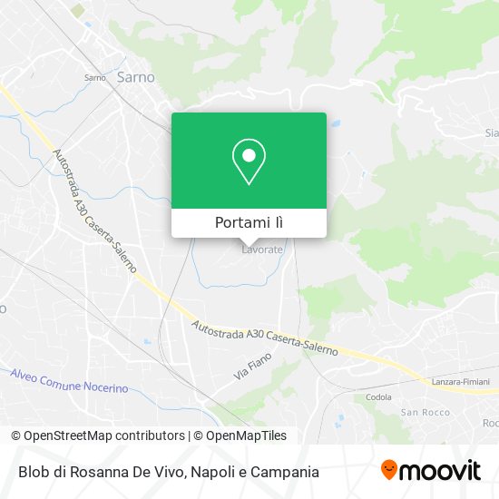 Mappa Blob di Rosanna De Vivo