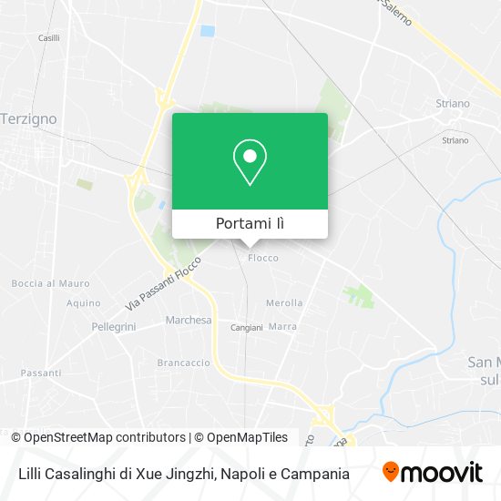 Mappa Lilli Casalinghi di Xue Jingzhi