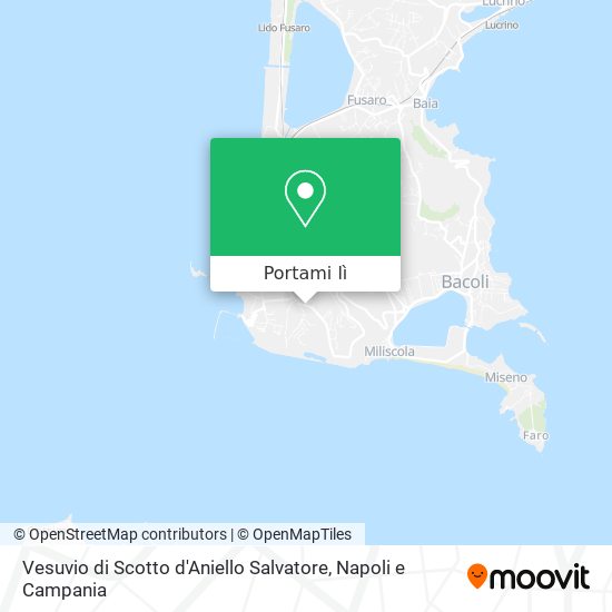 Mappa Vesuvio di Scotto d'Aniello Salvatore