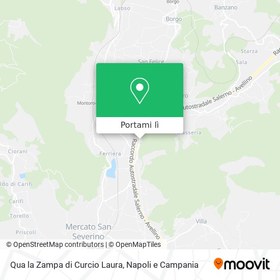 Mappa Qua la Zampa di Curcio Laura