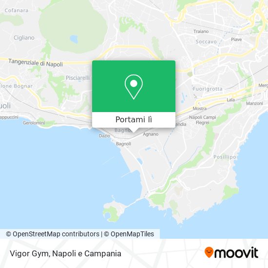 Mappa Vigor Gym