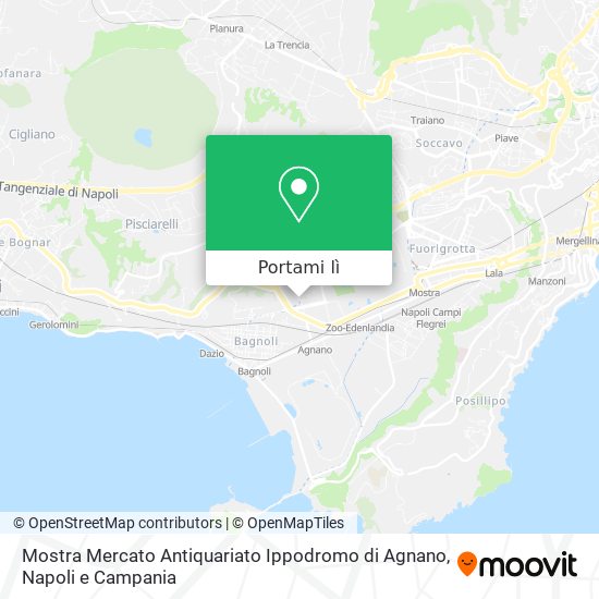 Mappa Mostra Mercato Antiquariato Ippodromo di Agnano