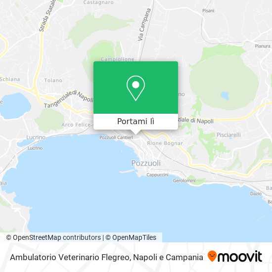 Mappa Ambulatorio Veterinario Flegreo