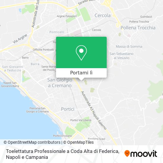 Mappa Toelettatura Professionale a Coda Alta di Federica